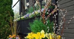 Spring