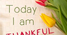 Thank