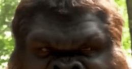 Buff Big Foot Buff Big Foot is a towering figure in the world of cryptids, standing at an impressive 7 feet tall and