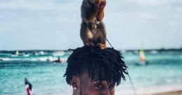 Marquette King
