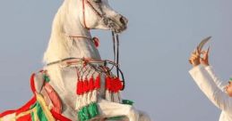 Tariq Tariq is a highly experienced professional horse trainer, renowned for his gentle and effective training methods