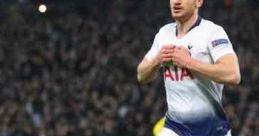 Jan Vertonghen Jan Vertonghen is a highly respected professional footballer hailing from Belgium, particularly known for his