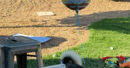 RubyAndAxl RubyAndAxl is a dynamic duo featuring Axl, a charming talking Husky, and Ruby, an adorable GoldenDoodle, who have