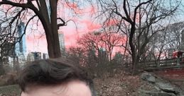 LordRaisinMan LordRaisinMan is a dynamic content creator specializing in engaging and entertaining gameplay videos
