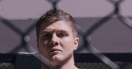 Marvin Vettori