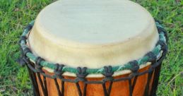 Bongo