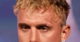 Jake Paul Parody AI Jake Paul Parody AI is a vibrant and engaging voice companion that channels the energetic persona of the