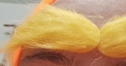 Taylor The Lorax