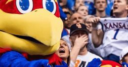 Big & Baby Jay - The University of Kansas