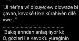 Kurdce