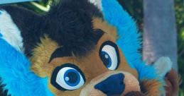Rex The Third Rex The Third is a versatile and dynamic entertainer known for his engaging performances and distinctive