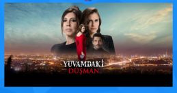 Showtv
