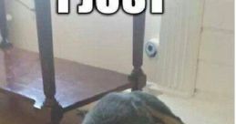 Fail