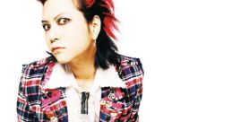 Hide