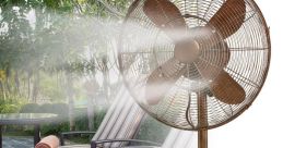 Fan