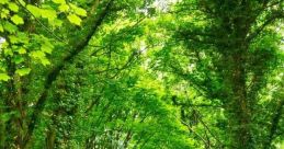 Calming Calming and effects to download and play.