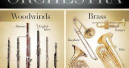 Orchestra