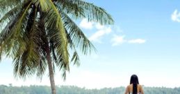 Paradise