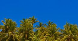 Island Island and effects to download and play.