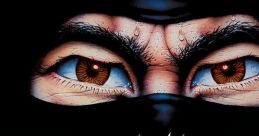 The Last Ninja + Bonus Games ザ・ラスト・ニンジャ・コレクション + ボーナス・ゲームズ - Video Game Video game from The