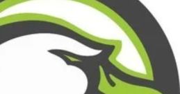 Stylized logo of Ducks 11U 2026 featuring a sleek duck design with green and gray colors. Team spirit and identity.
