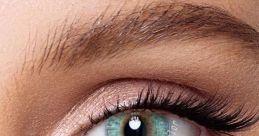 Contacts