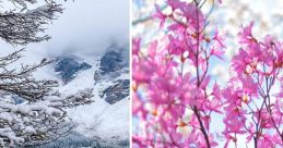 Seasons