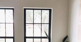 Window