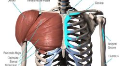 Mam pec