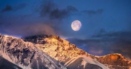 Moonlight