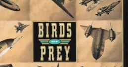 Birds of Prey - Video Game