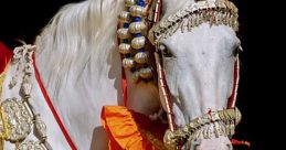 Marwari