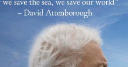David (U.S English)