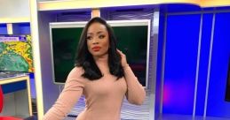 British Local News Reporter (BBC Sheffield)