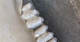 Stink Bone