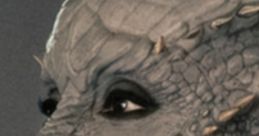 Gina Yashere (Lura Thok: Star Trek Academy)