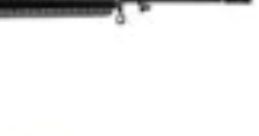 GUN