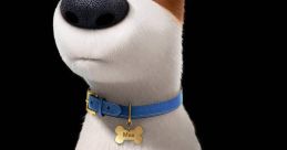 Max (Secret Life of Pets)