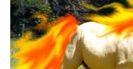 Rapidash From Pokémon In Real Life By WHOA GUM
