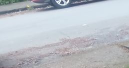 Parked red car near a sidewalk with wood chips and green grass, reflecting a tranquil neighborhood ambiance.
