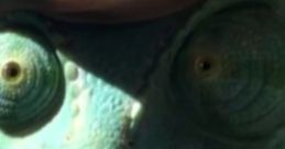 Rango (Rango)