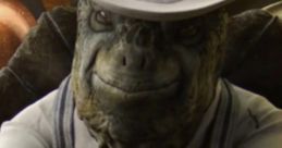 Tortoise John