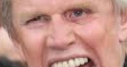 Gary Busey (Futh Mode)