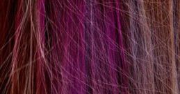 Helai Rambut