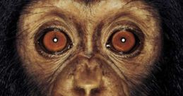 Monke