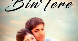Bin Tere