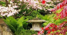 Zen