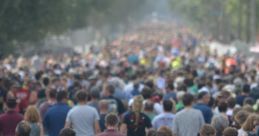 Crowd