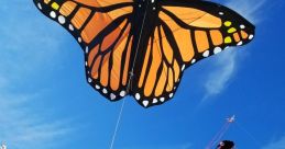 Kites