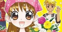 Akogare Girls : Ohanaya-san Monogatari あこがれガールズコレクション お花屋さん物語 - Video Game Video game from Akogare